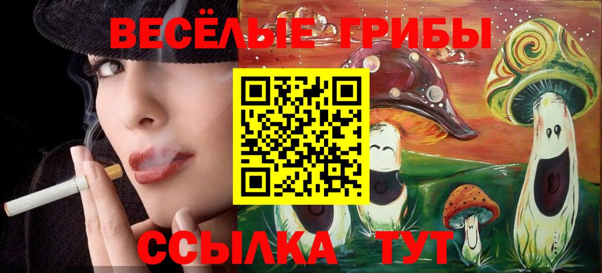 Псилоцибиновые грибы GOLDEN TEACHER Железногорск