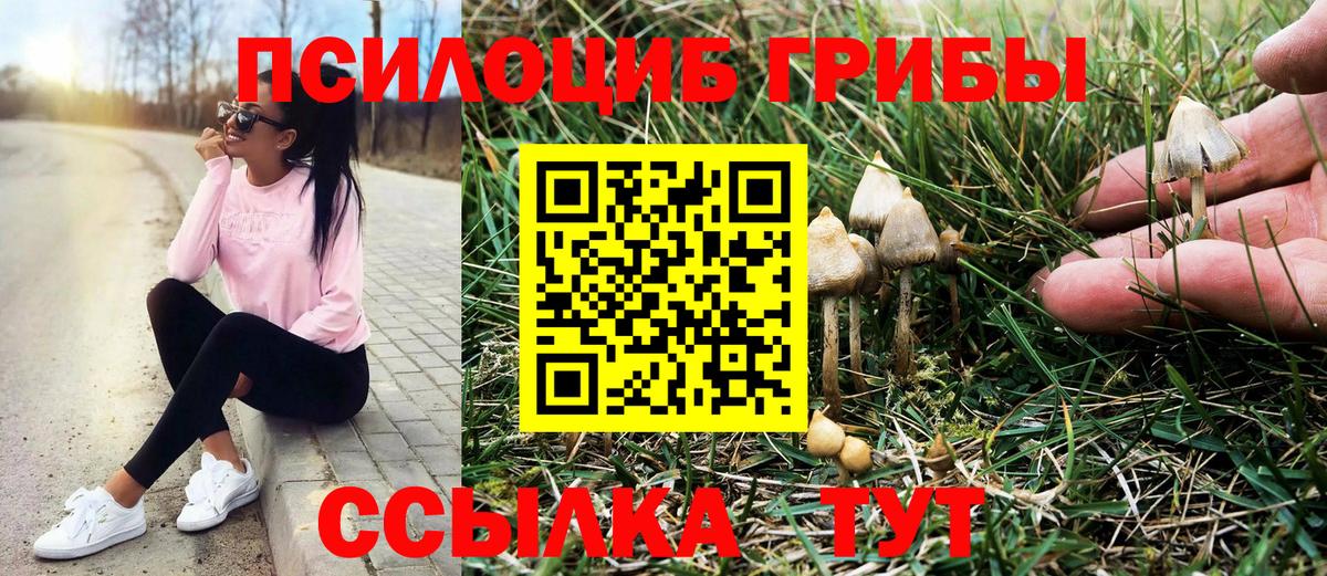 Железногорск  Псилоцибиновые грибы ЛСД  Вход с VPN 
